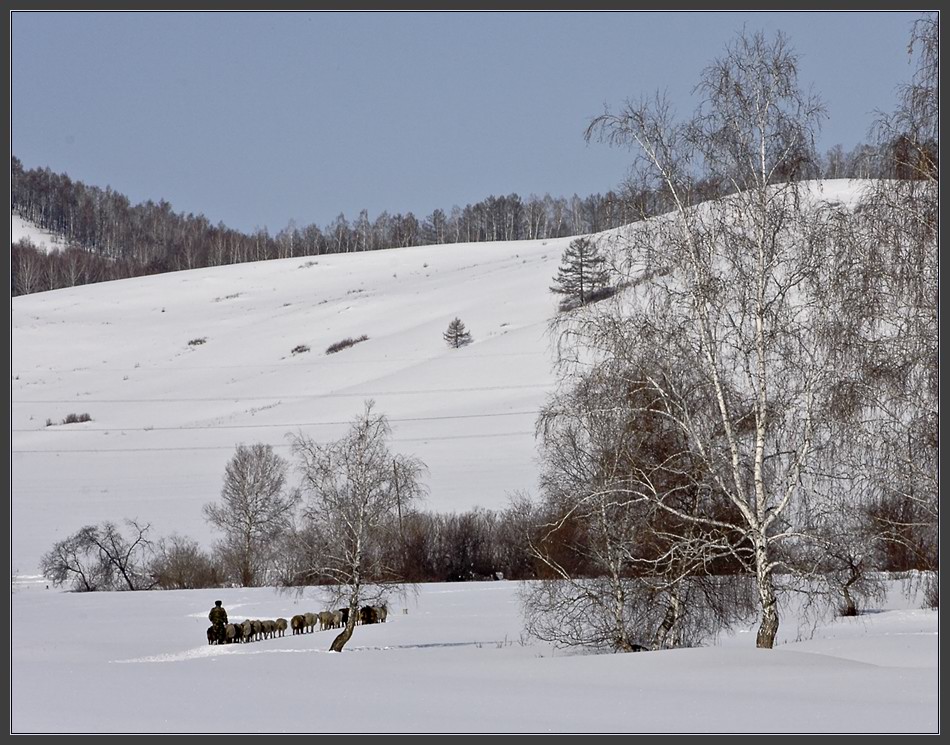 photo "***" tags: landscape, forest, winter