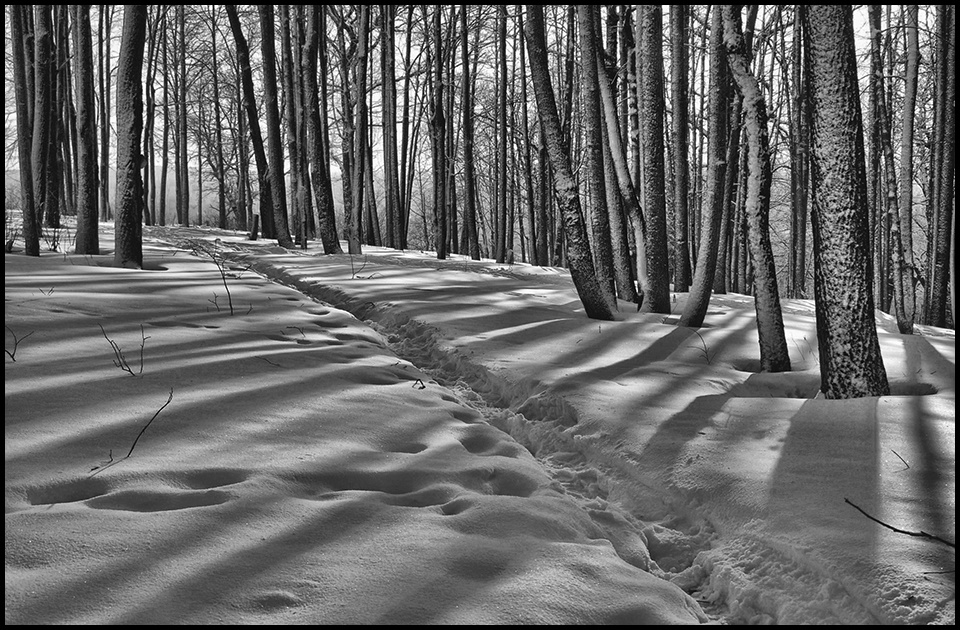 фото "Свет и тени..." метки: пейзаж, весна