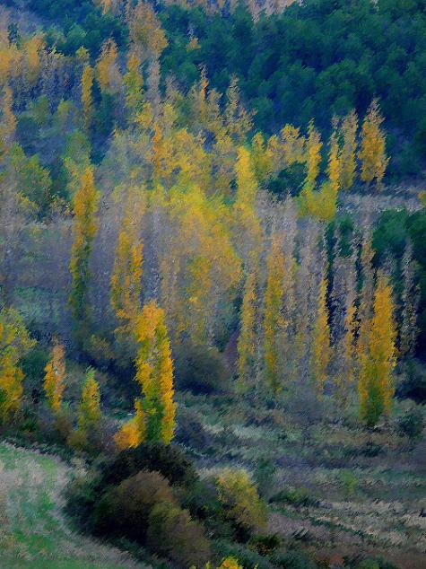 photo "candles in the mountains" tags: landscape, mountains