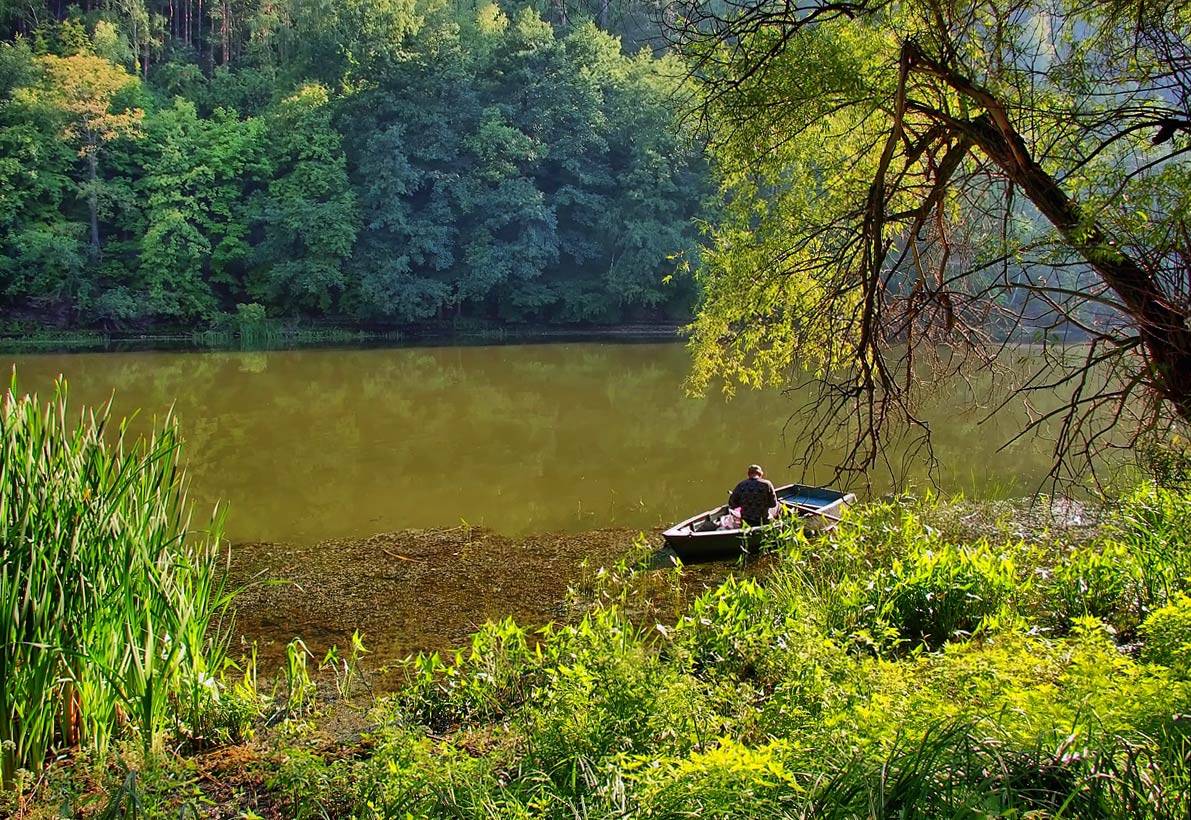 photo "***" tags: landscape, summer