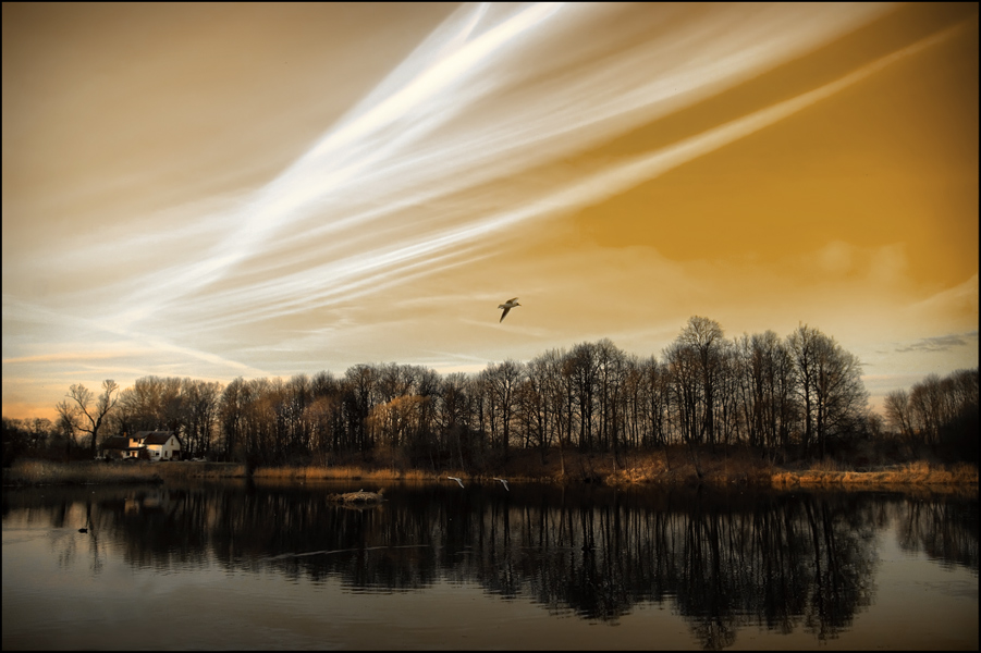 photo "***" tags: landscape, 