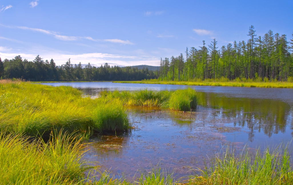 photo "Просто пейзаж..." tags: landscape, summer, water