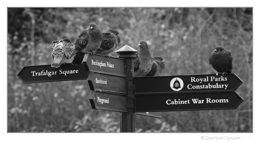 photo "Directions" tags: city, black&white, 