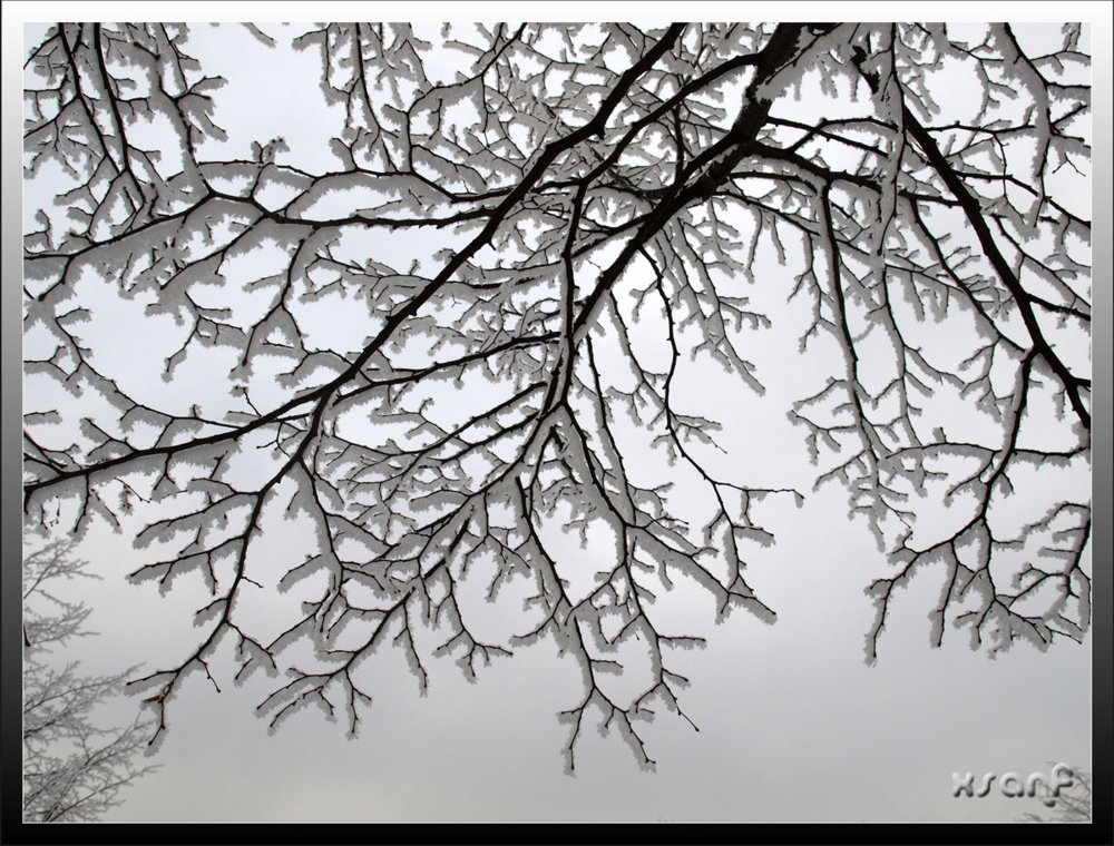 photo "***" tags: landscape, winter