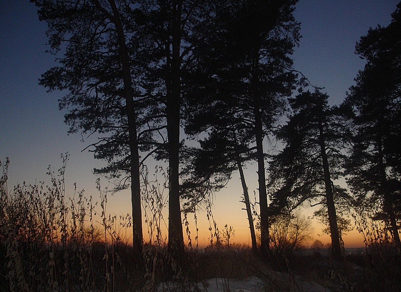 photo "вечер,природа,сумерки,ночь,закат" tags: landscape, forest