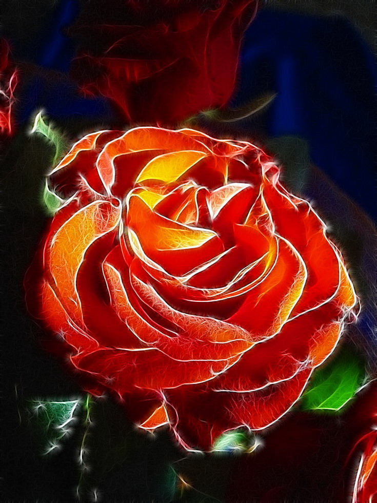 photo "***" tags: nature, montage, flowers