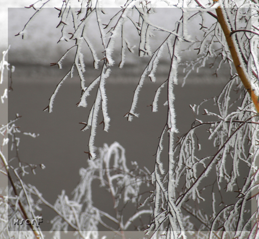 photo "***" tags: landscape, winter