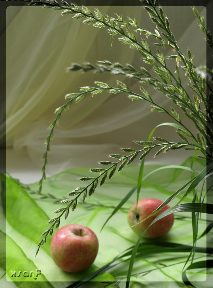 photo "***" tags: still life, 