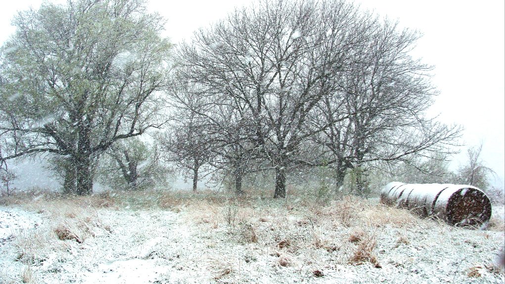 photo "White Dream" tags: landscape, winter