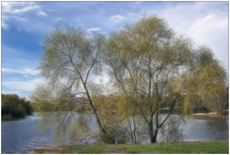 photo "Spring" tags: landscape, spring, water