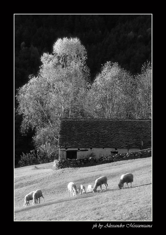 photo "*****" tags: landscape, black&white, mountains