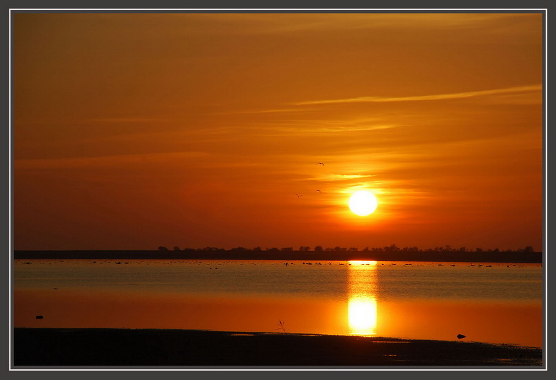 photo "***" tags: landscape, sunset, water