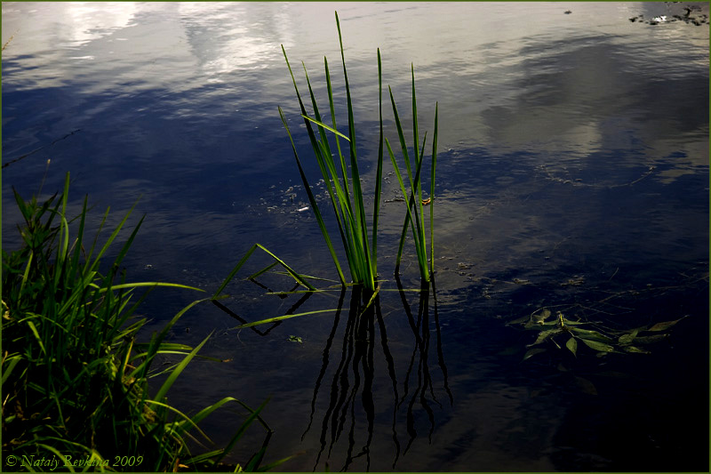 photo "Before a thunder-storm" tags: landscape, summer, water