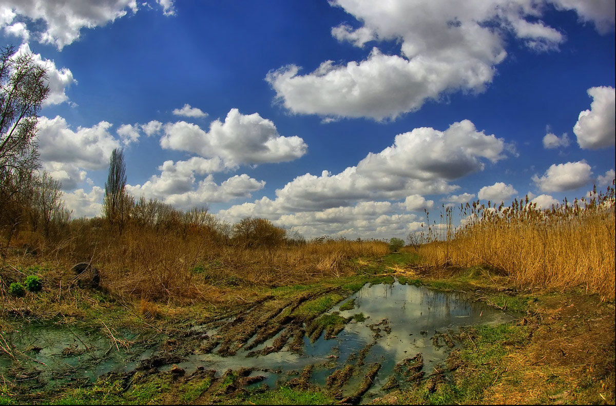 photo "***" tags: landscape, spring