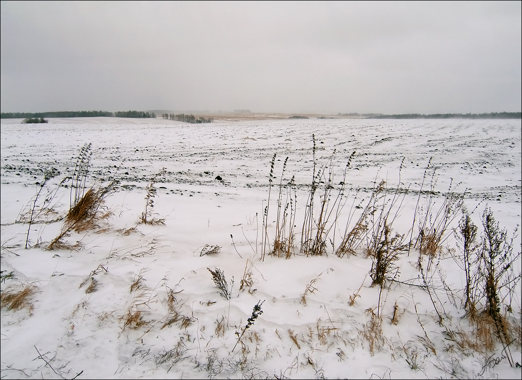 photo "Winter" tags: landscape, winter