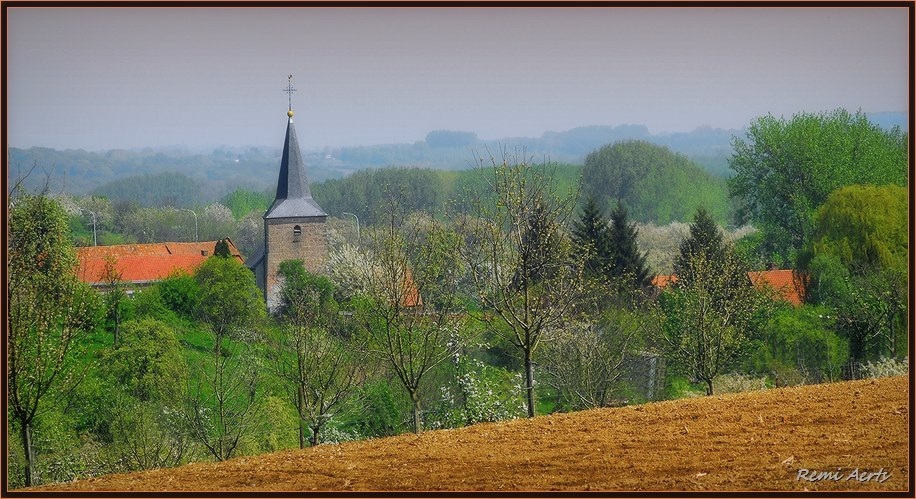 photo "paradise" tags: landscape, nature, flowers, spring