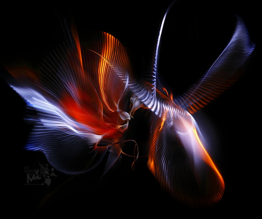 photo "Parrots do not surrender!" tags: abstract, digital art, 