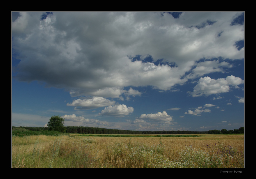 photo "Clouds over the summer field" tags: landscape, clouds, summer
