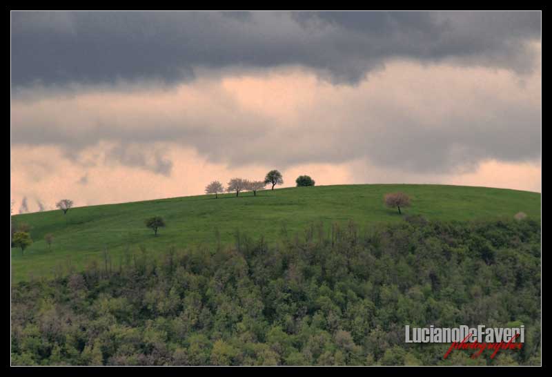 photo "Lessinia" tags: landscape, mountains