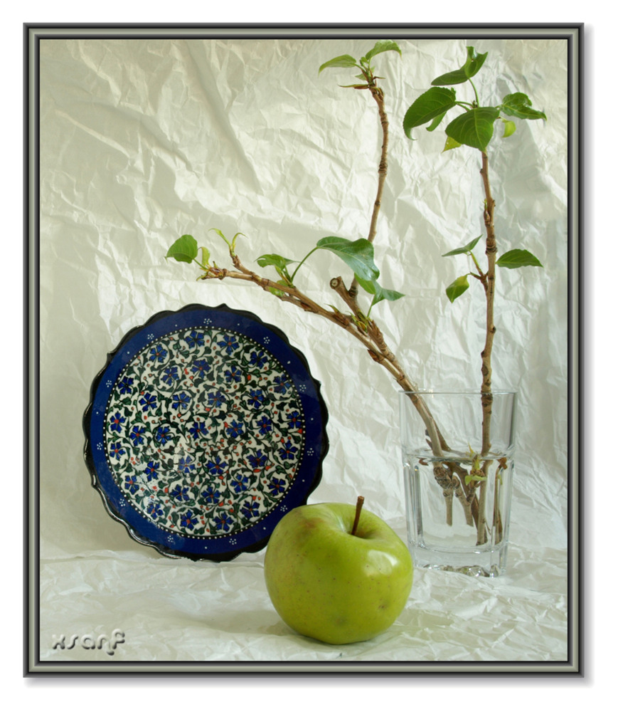 photo "***" tags: still life, 