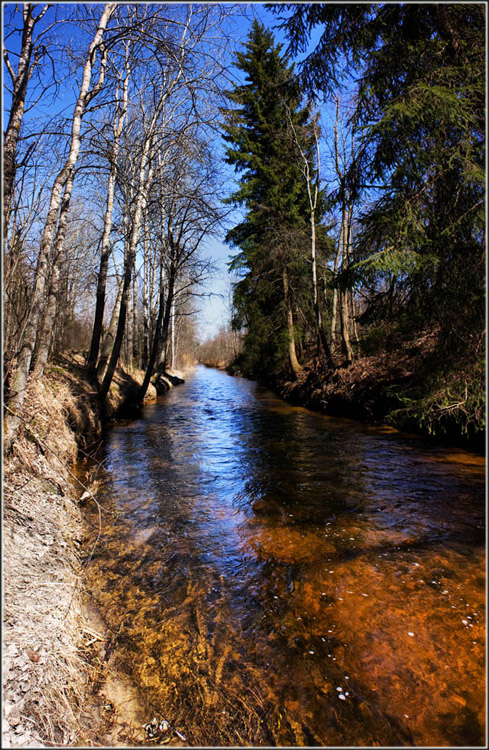 photo "trout river" tags: landscape, water