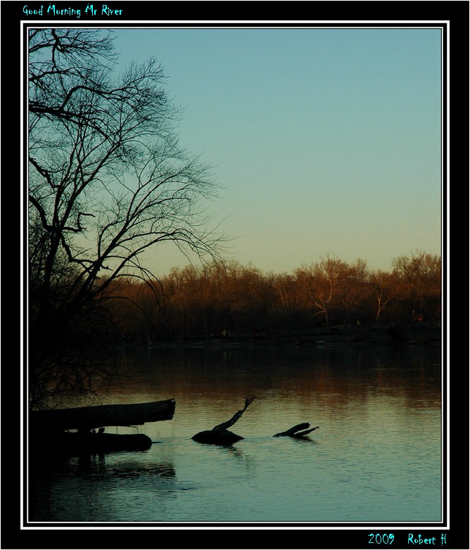 photo "Good Morning Mr River" tags: landscape, spring, water