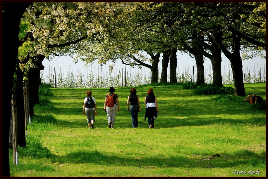 photo "spring walk" tags: landscape, portrait, spring