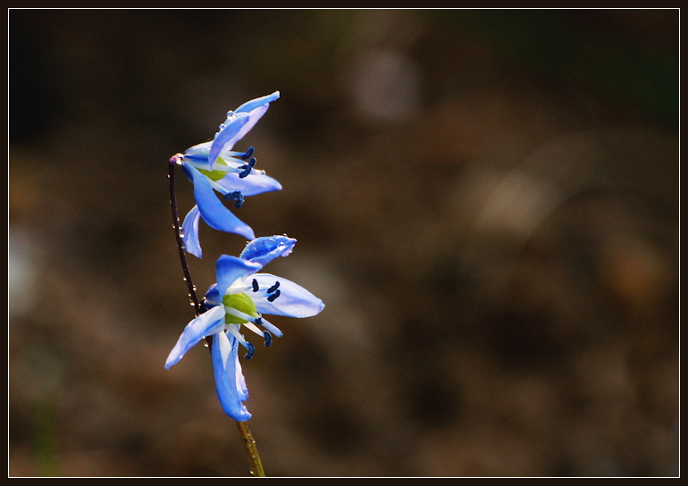 фото "***" метки: природа, 