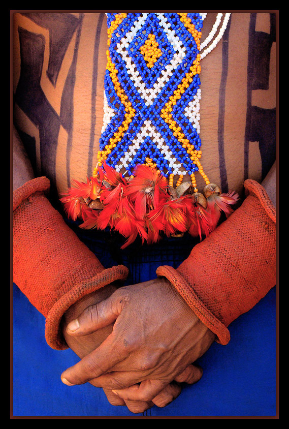 photo "Indigenous Details" tags: misc., 