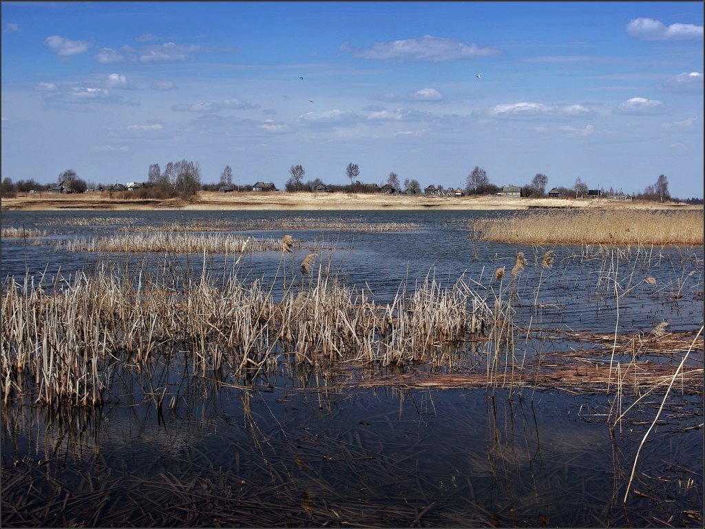 photo "Mood of April" tags: landscape, spring