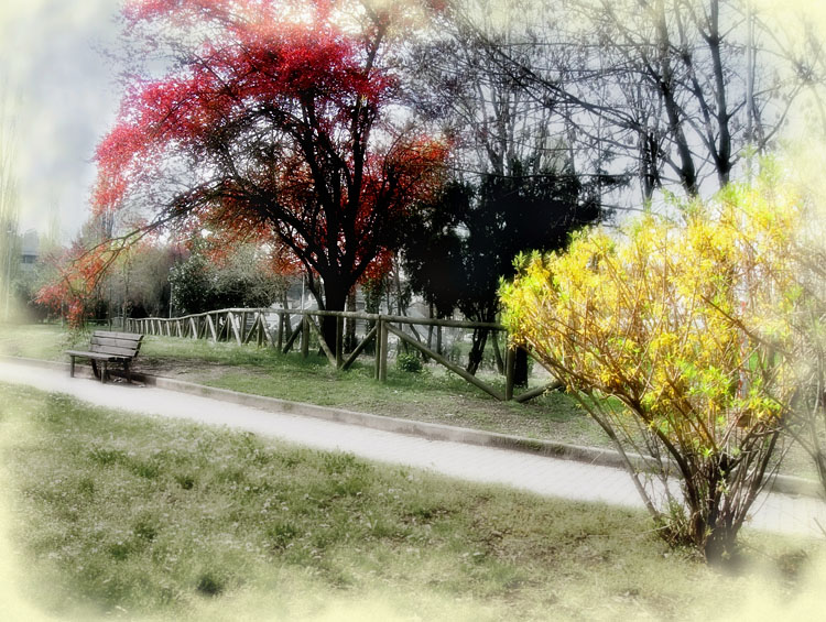 фото "Spring time" метки: пейзаж, весна