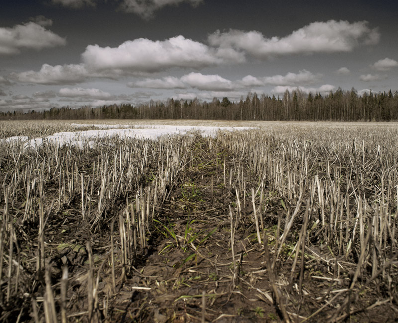 photo "***" tags: landscape, spring