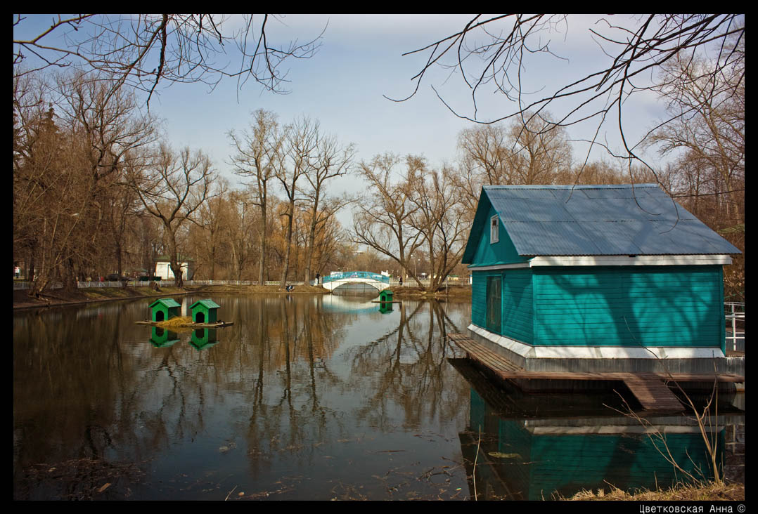 фото "Весеннее спокойствие )" метки: пейзаж, весна, вода, отражения, парк