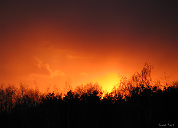 photo "***" tags: landscape, forest, sunset