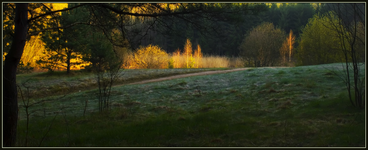 photo "Resurgence" tags: landscape, spring