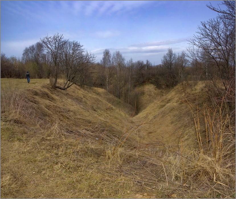 фото "Ростки пока в корнях, а листья в почках..." метки: пейзаж, весна