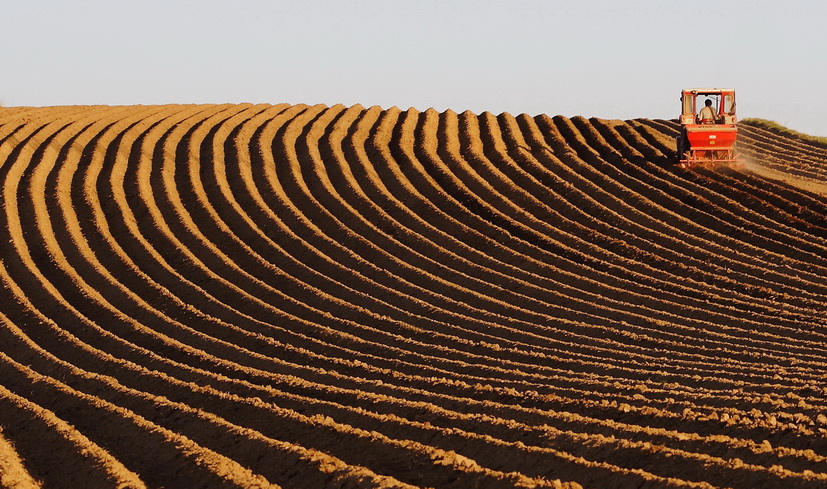 photo "Arable land" tags: landscape, spring