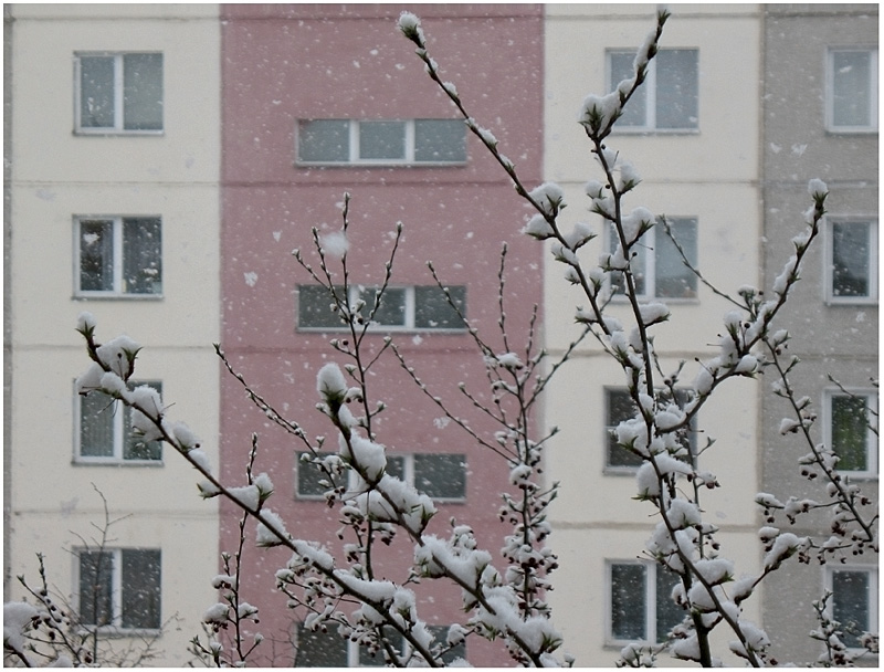 фото "Весенний снег" метки: город, 
