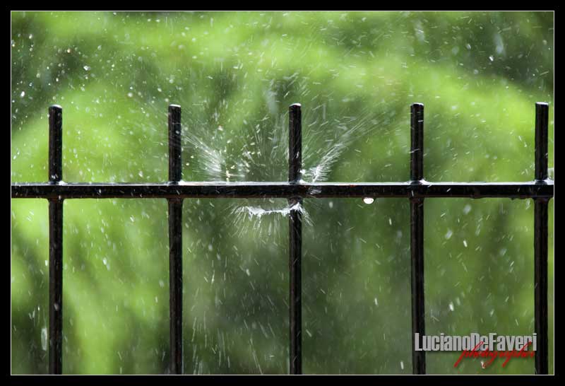 photo "First Spriing Storm" tags: macro and close-up, 