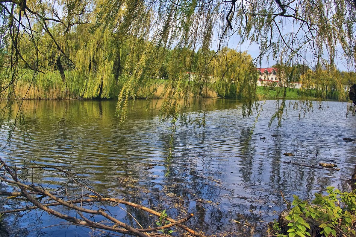 фото "Весенний ветерок" метки: пейзаж, весна, вода