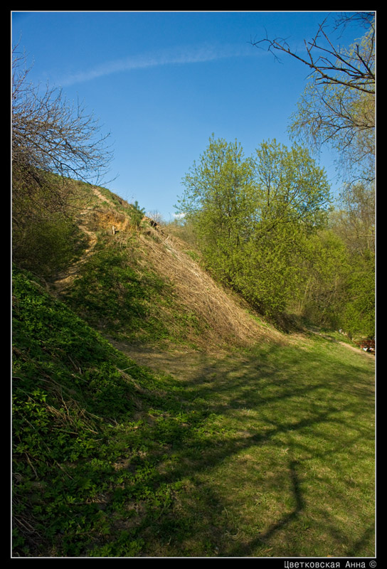 photo "***" tags: landscape, spring