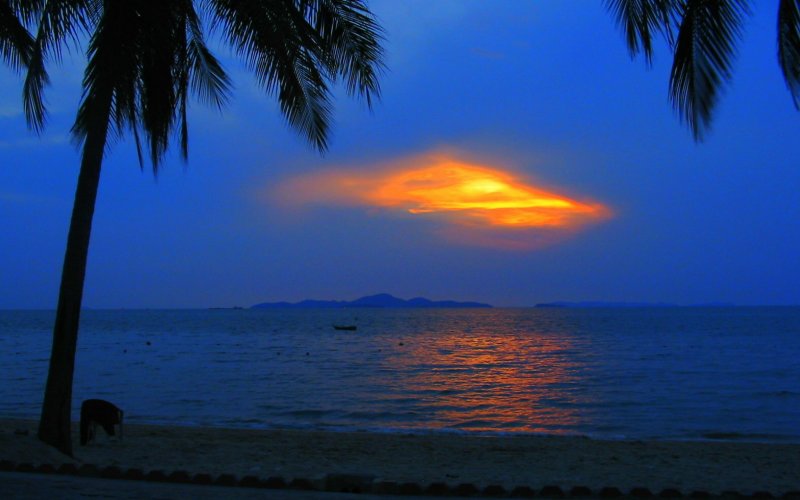 photo "Palm and sky" tags: landscape, night, sunset