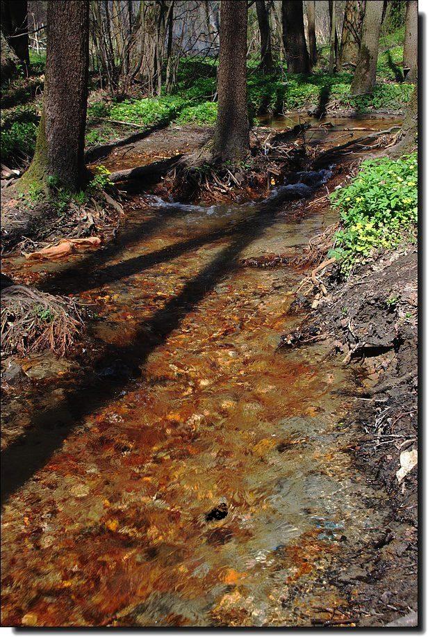 фото "Мозаика  весенних   ручьёв...     природа  намекает" метки: пейзаж, вода, лес