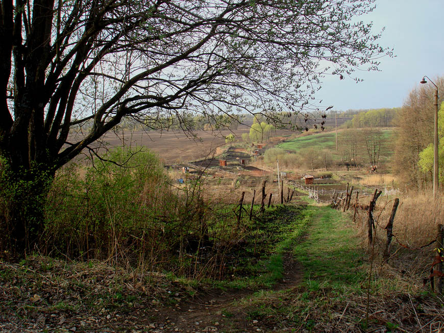 photo "Spring track health" tags: landscape, spring