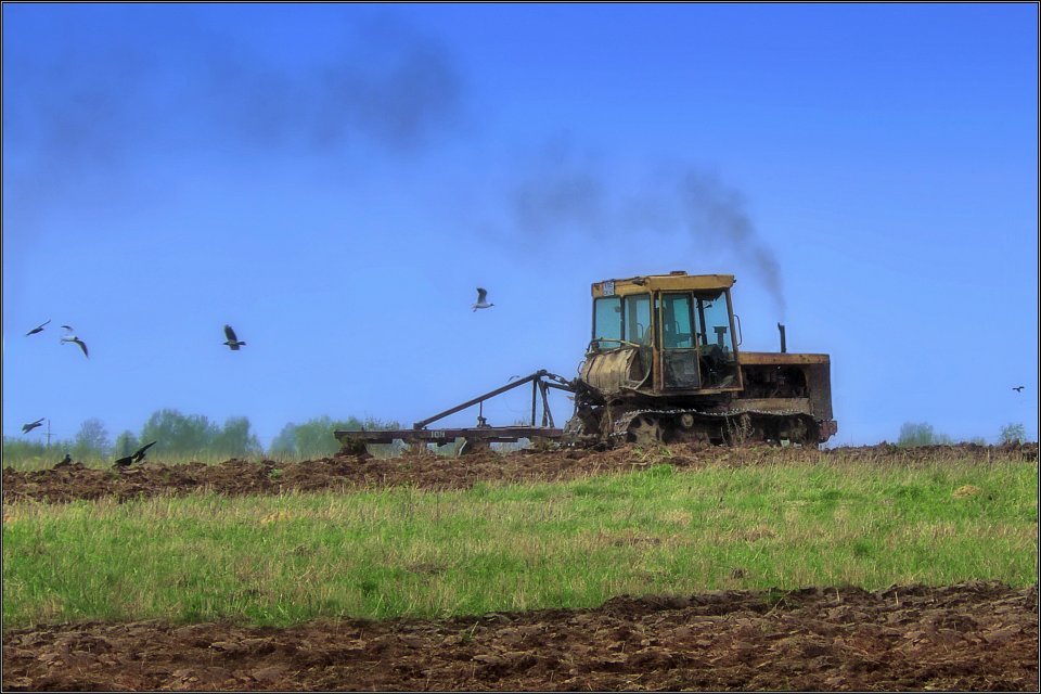 photo "Field works" tags: landscape, spring