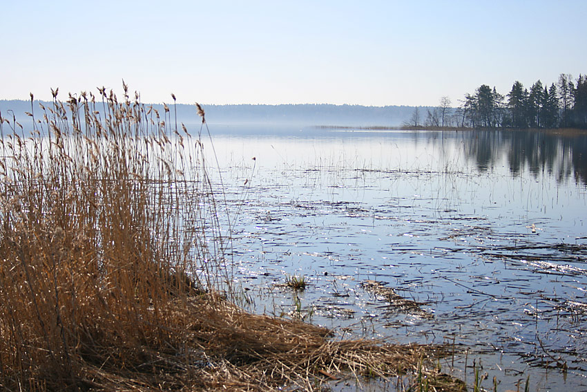 photo "***" tags: landscape, spring