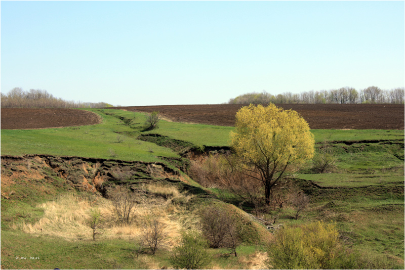 photo "***" tags: landscape, spring