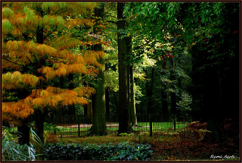 photo "one morning in mai" tags: landscape, forest