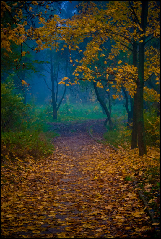 photo "***" tags: landscape, misc., autumn