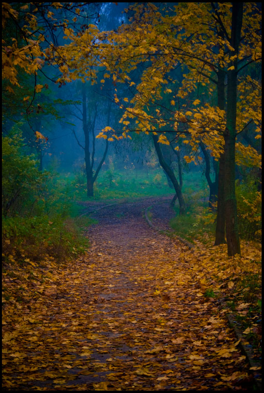 фото "осенняя" метки: пейзаж, разное, осень